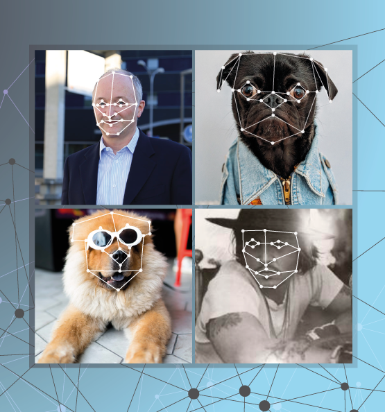 Artifical Intelligence AI Image Recognition